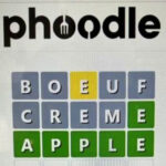 Phoodle Net